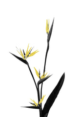 Flower Minimal Black and Gold 05 Poster och Canvastavla
