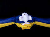 hold the peace Poster och Canvastavla