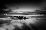 Blurred morning Poster och Canvastavla