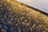 Golden hour Poster och Canvastavla
