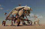Encounter in the desert Poster och Canvastavla
