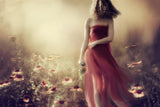 I've been searching for my dream a hundred times today... Poster och Canvastavla