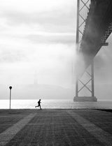 Misty days Poster och Canvastavla