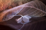 Melody of Ephemeral Love Poster och Canvastavla