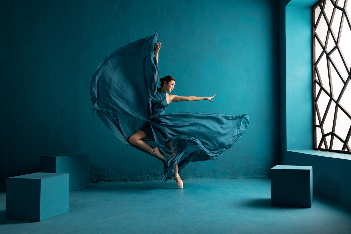 Ballerina Poster och Canvastavla