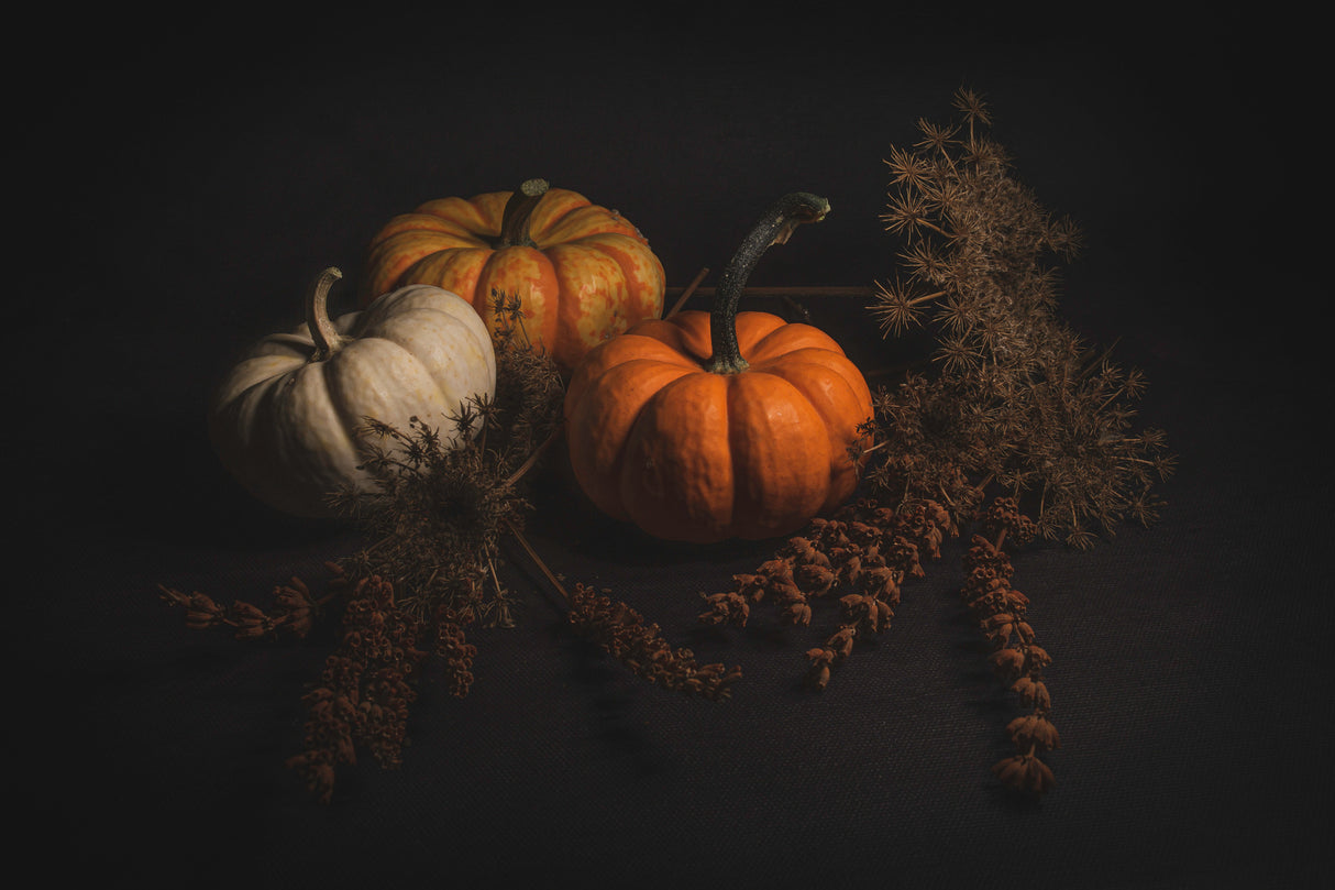 Before Halloween Poster och Canvastavla
