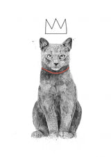 King of everything Poster och Canvastavla