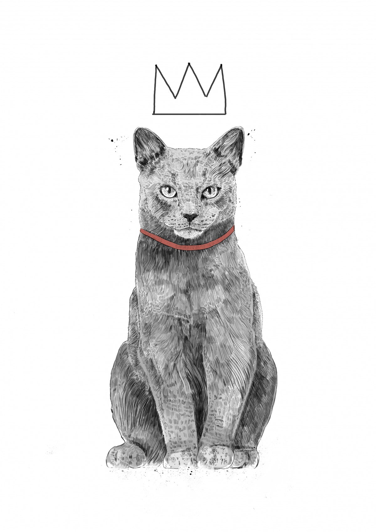 King of everything Poster och Canvastavla