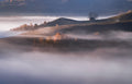 Autumn Poster och Canvastavla