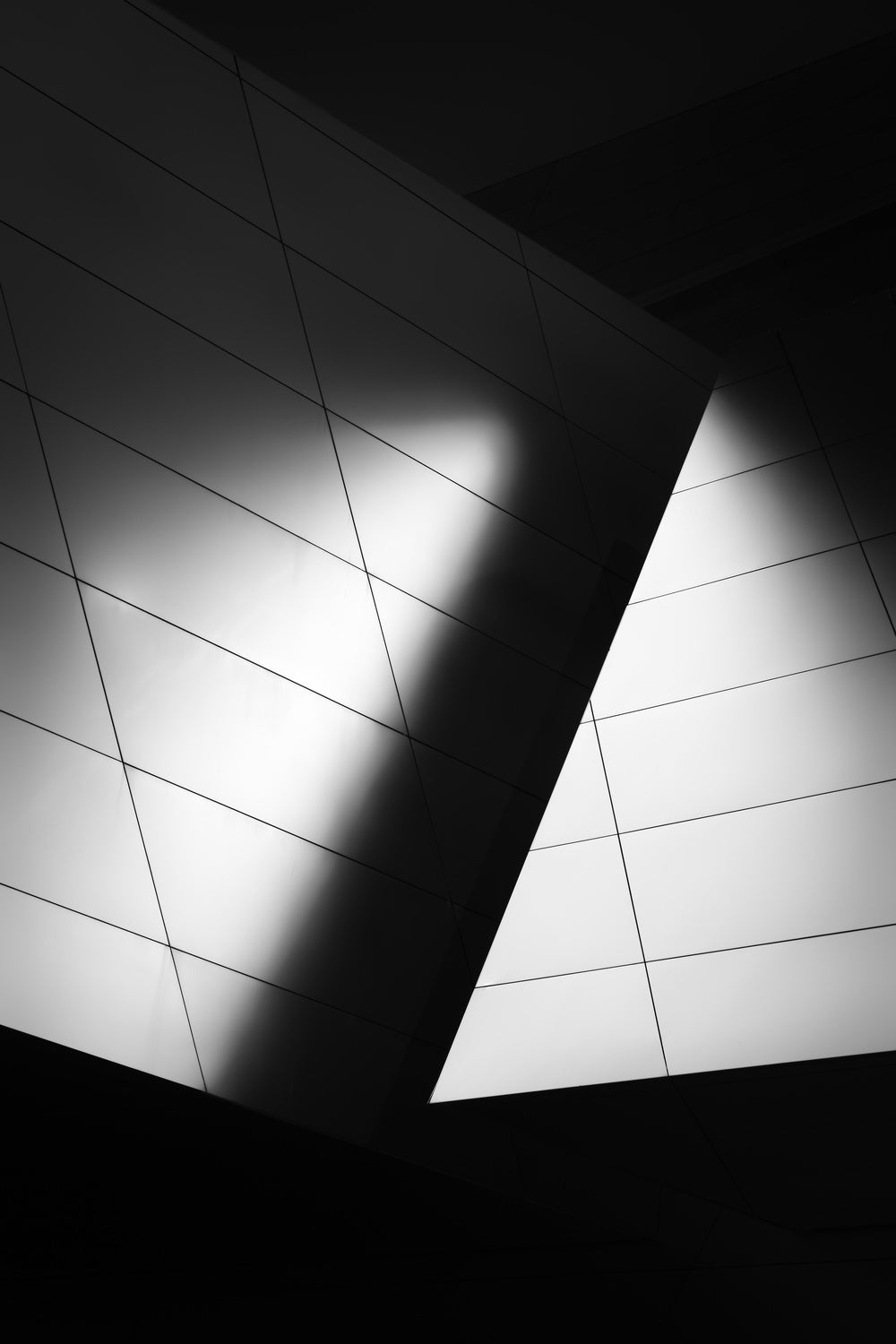 shadow play Poster och Canvastavla