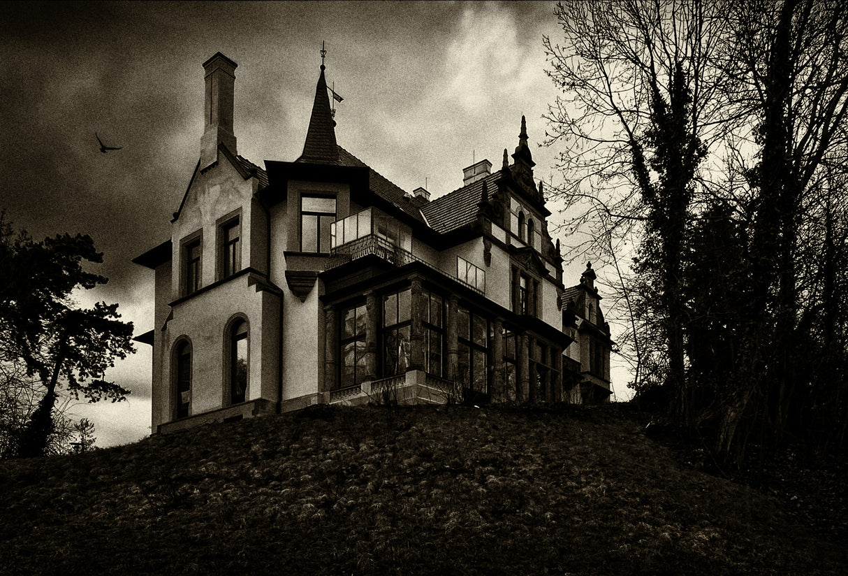 House on the hill Poster och Canvastavla