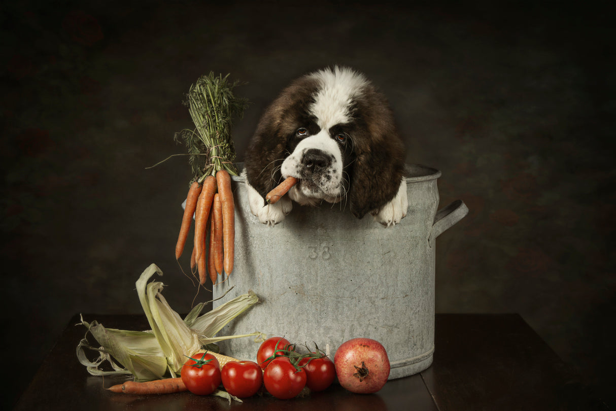 Puppy love Poster och Canvastavla