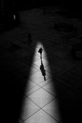 Light and shadows Poster och Canvastavla
