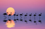 Family Flamingos Poster och Canvastavla