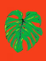 Monstera Leaf Red Poster och Canvastavla