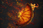 The Blast and the Remains Poster och Canvastavla