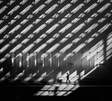 Shadow patterns Poster och Canvastavla