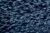 Snow falling Poster och Canvastavla