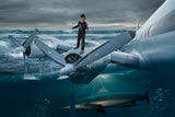 The Hunter Poster och Canvastavla
