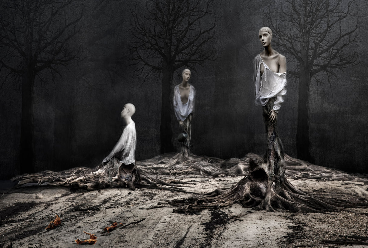 The murdered forest Poster och Canvastavla