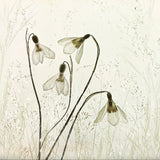 Springtime! Poster och Canvastavla