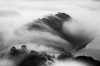 Morning Fog Poster och Canvastavla