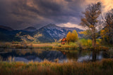 Autumn Memory Poster och Canvastavla