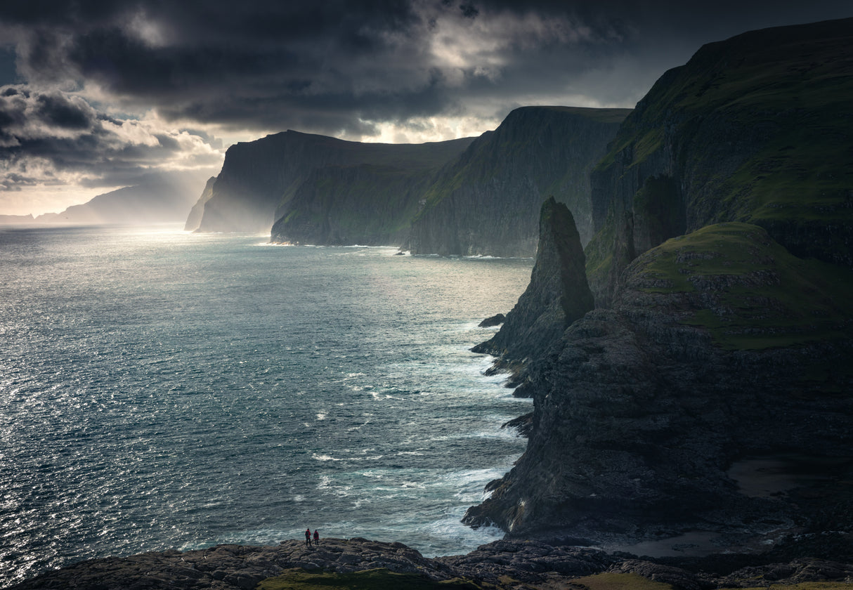 Faroese Cliffs Poster och Canvastavla