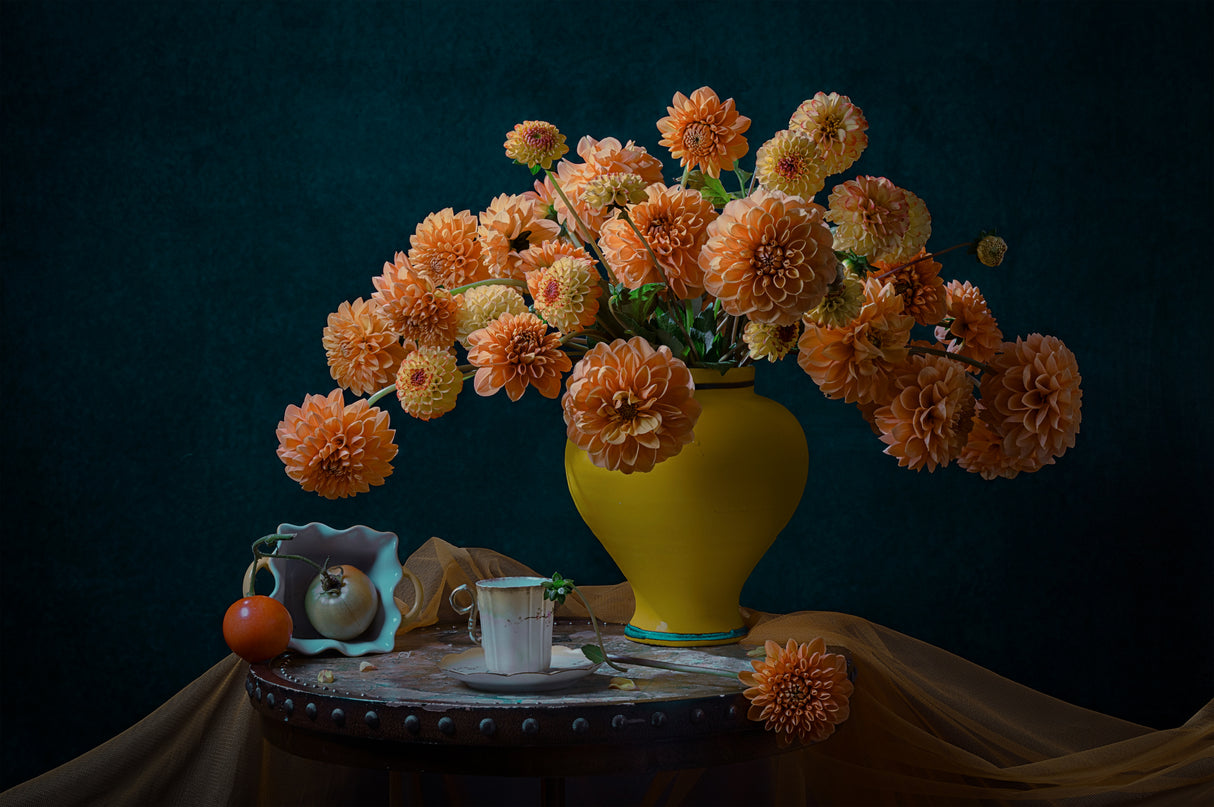 Orange Dahlia Poster och Canvastavla
