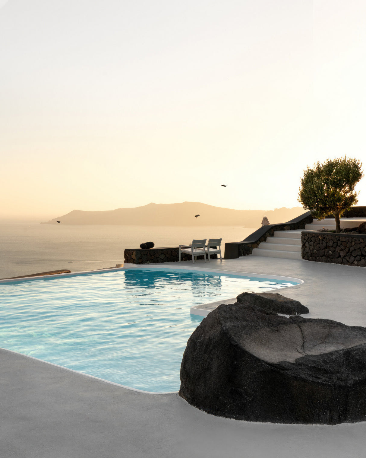 Birds Flying Over Swimming Pool Poster och Canvastavla
