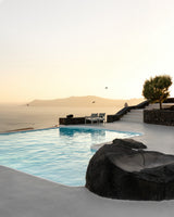 Birds Flying Over Swimming Pool Poster och Canvastavla