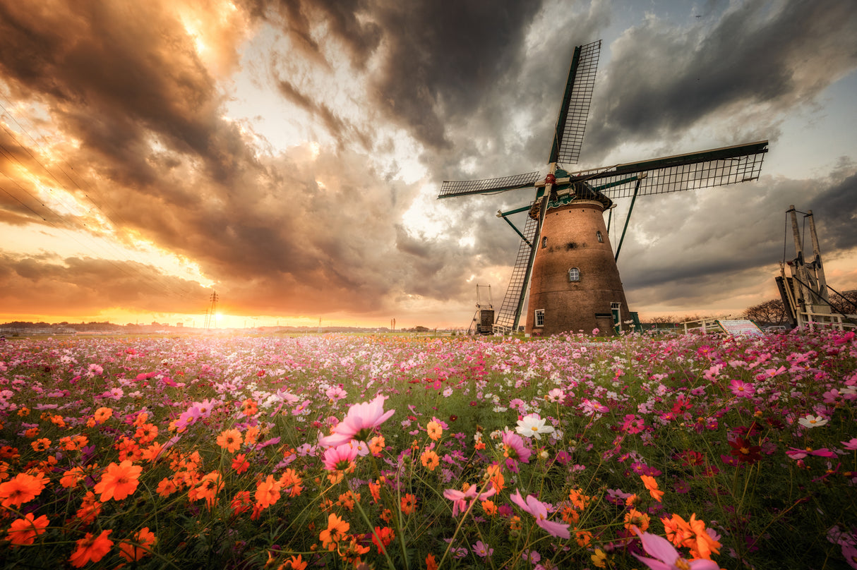 Magnificent flower world Poster och Canvastavla