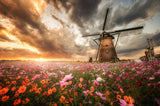 Magnificent flower world Poster och Canvastavla