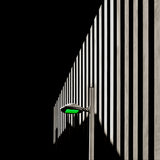 Architecture Green Poster och Canvastavla