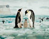 Emperor Penguin Family Poster och Canvastavla