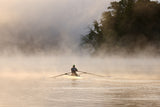Breaking the morning mist Poster och Canvastavla