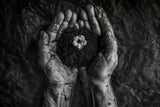A new life Poster och Canvastavla