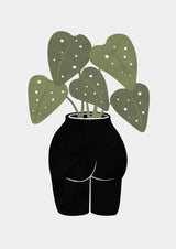 Butt Anical Vase Poster och Canvastavla