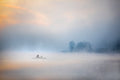 Foggy lake Poster och Canvastavla