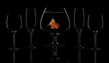 Glass fish Poster och Canvastavla