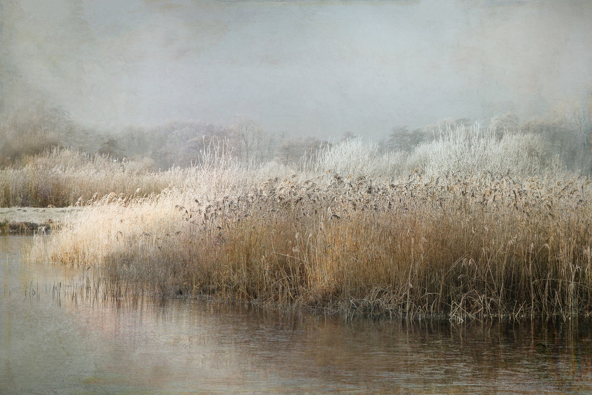 Wintermorning Poster och Canvastavla