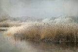 Wintermorning Poster och Canvastavla