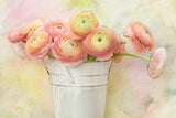 A Bucket Full of Ranunculus Flowers Poster och Canvastavla