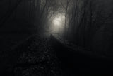 Fading into the light Poster och Canvastavla