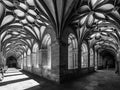 the flowery cloister Poster och Canvastavla