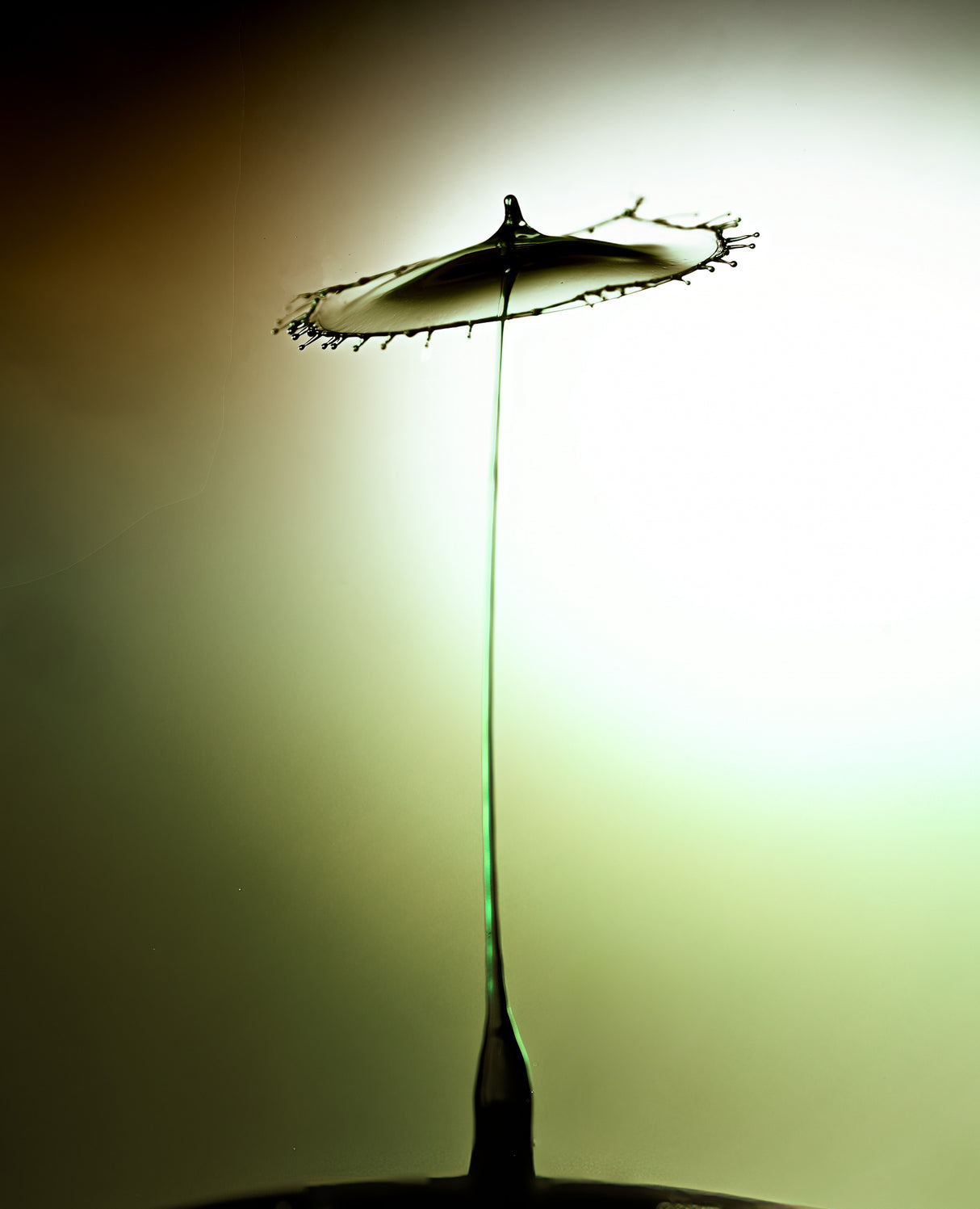 Drop #3335 Poster och Canvastavla