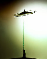 Drop #3335 Poster och Canvastavla