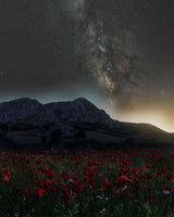 The light pollution Poster och Canvastavla