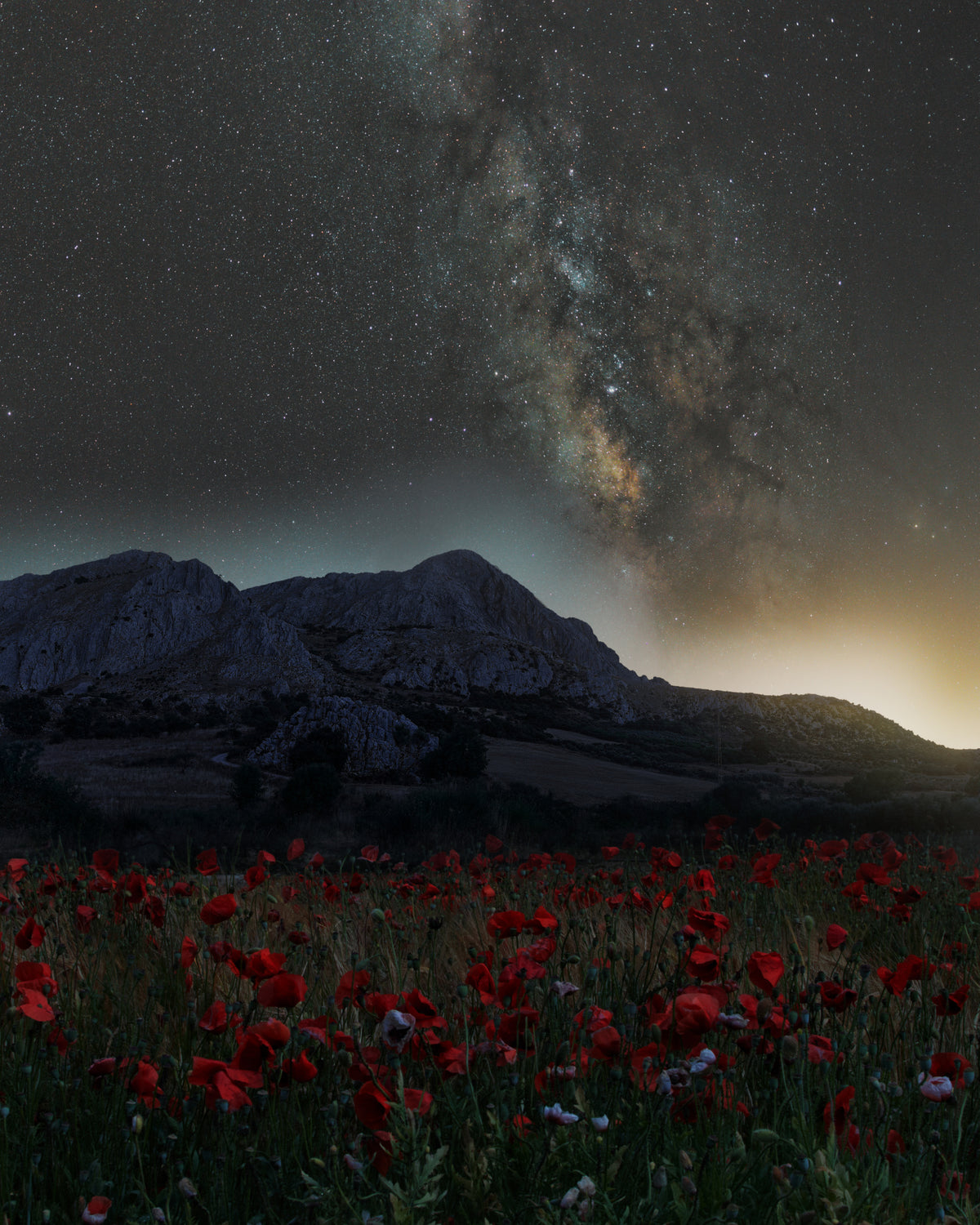 The light pollution Poster och Canvastavla
