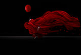 Dancing with the  balloon Poster och Canvastavla
